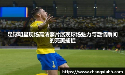 足球明星现场高清照片展现球场魅力与激情瞬间的完美捕捉