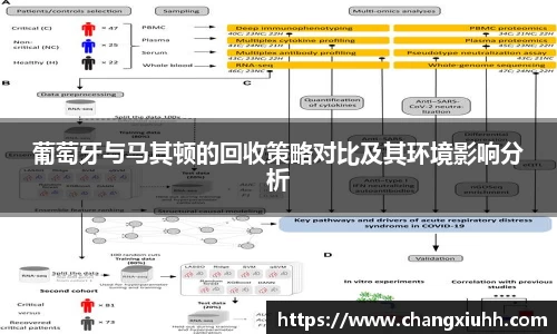 葡萄牙与马其顿的回收策略对比及其环境影响分析